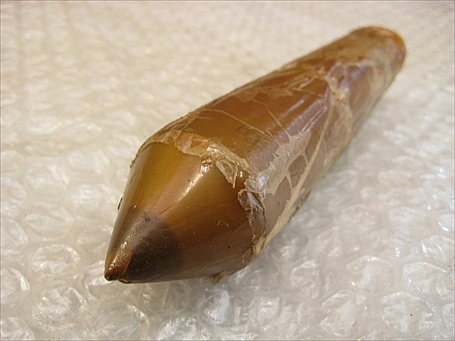 C117560 レースセンター 新品 --_0