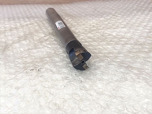 A118807 スローアウェイエンドル -- M-21-M12-C25-181_2