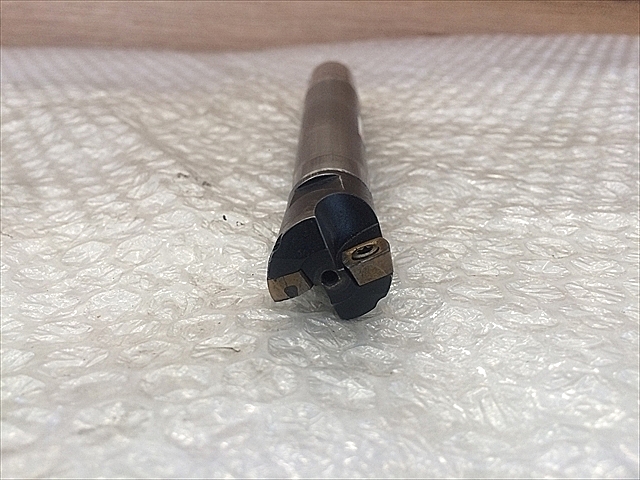 A118807 スローアウェイエンドル -- M-21-M12-C25-181_4