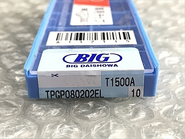 A117115 チップ 新品 BIG TPG080202EL_1